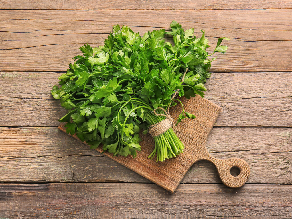 Frisches Bund glatte Petersilie, zusammengebunden und auf einem Holzbrett liegend, auf rustikalem Holztisch.